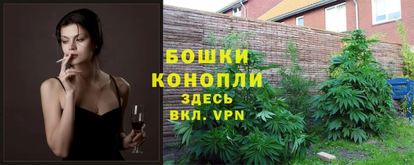 Альфа ПВП Верхний Тагил