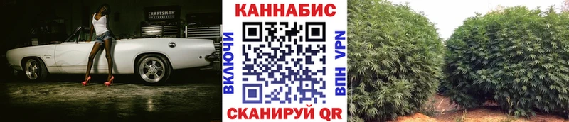 Марихуана индика  Весьегонск 